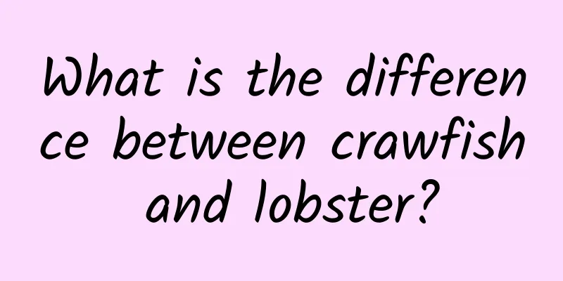 What is the difference between crawfish and lobster?