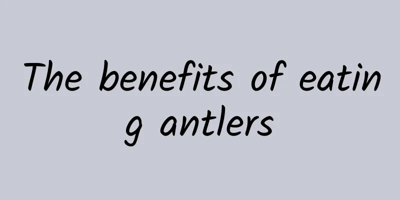 The benefits of eating antlers