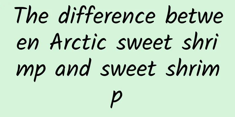 The difference between Arctic sweet shrimp and sweet shrimp