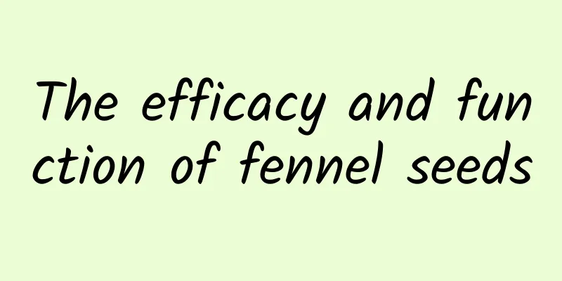 The efficacy and function of fennel seeds