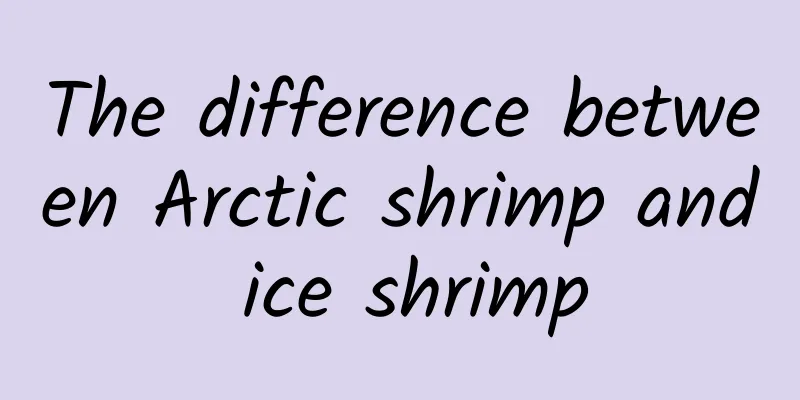 The difference between Arctic shrimp and ice shrimp