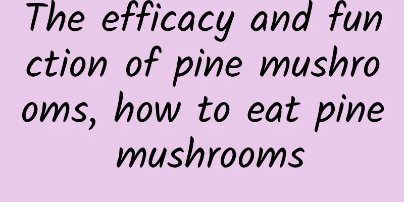 The efficacy and function of pine mushrooms, how to eat pine mushrooms