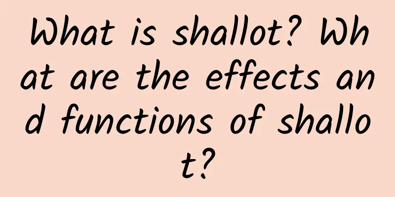 What is shallot? What are the effects and functions of shallot?