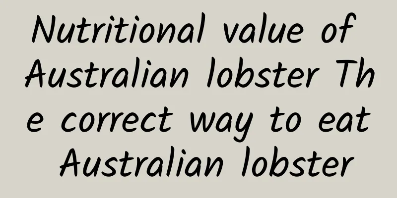 Nutritional value of Australian lobster The correct way to eat Australian lobster