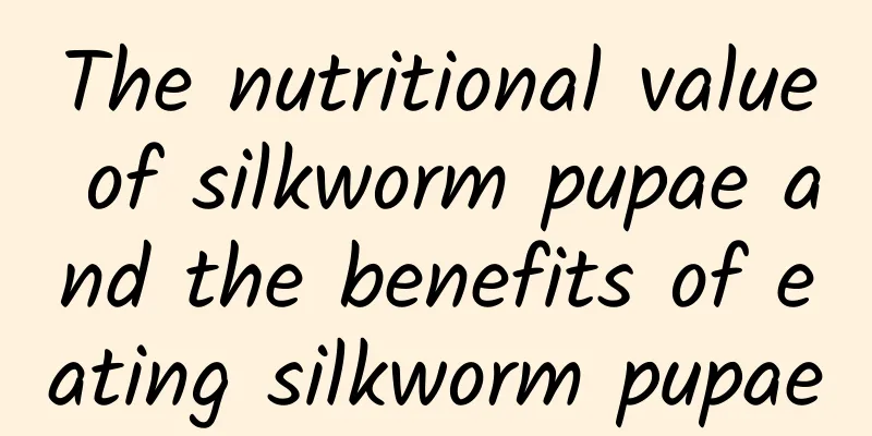 The nutritional value of silkworm pupae and the benefits of eating silkworm pupae