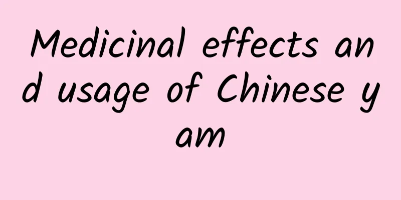 Medicinal effects and usage of Chinese yam