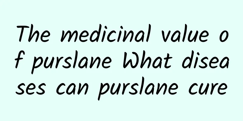 The medicinal value of purslane What diseases can purslane cure