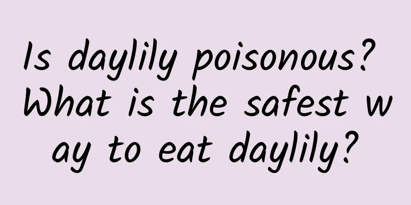 Is daylily poisonous? What is the safest way to eat daylily?