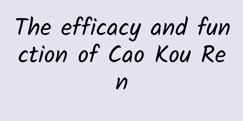 The efficacy and function of Cao Kou Ren