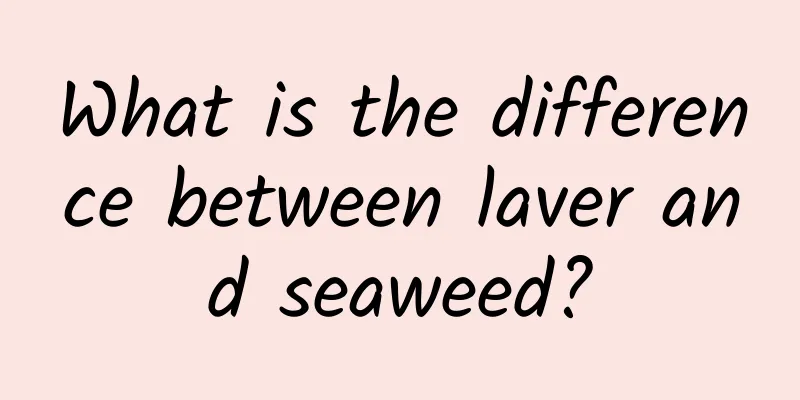 What is the difference between laver and seaweed?