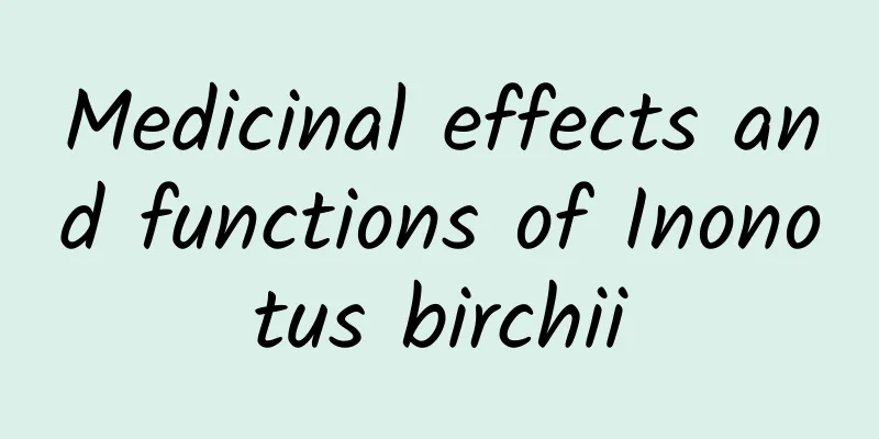 Medicinal effects and functions of Inonotus birchii