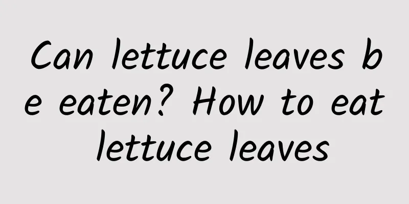 Can lettuce leaves be eaten? How to eat lettuce leaves