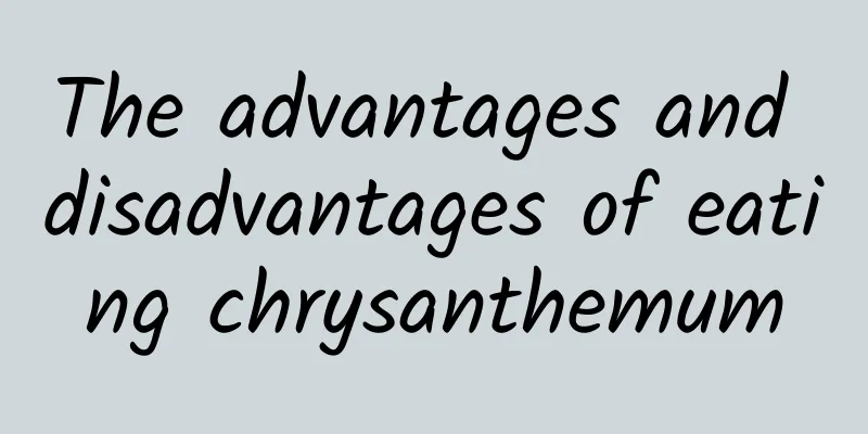 The advantages and disadvantages of eating chrysanthemum