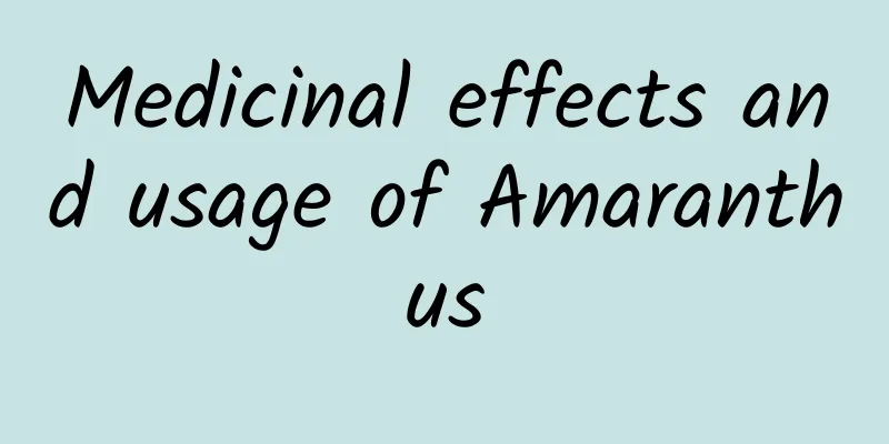 Medicinal effects and usage of Amaranthus