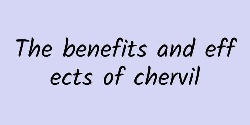 The benefits and effects of chervil