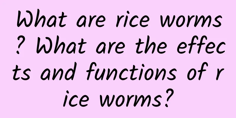 What are rice worms? What are the effects and functions of rice worms?