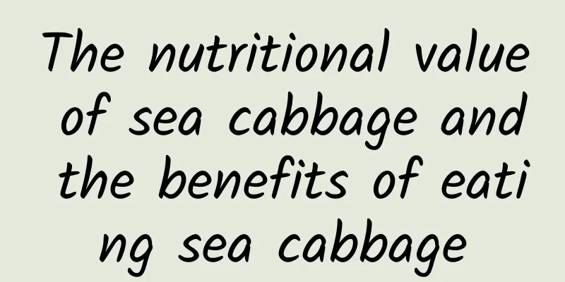 The nutritional value of sea cabbage and the benefits of eating sea cabbage