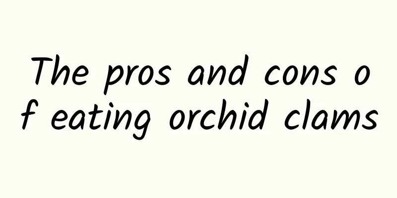 The pros and cons of eating orchid clams