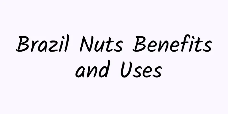 Brazil Nuts Benefits and Uses