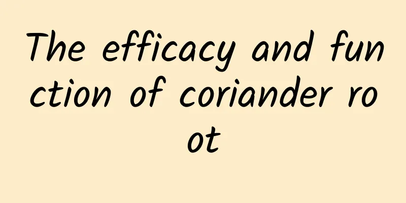 The efficacy and function of coriander root