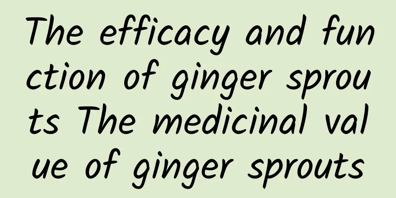 The efficacy and function of ginger sprouts The medicinal value of ginger sprouts