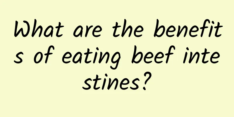 What are the benefits of eating beef intestines?