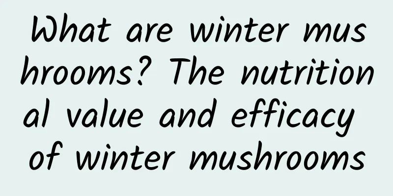 What are winter mushrooms? The nutritional value and efficacy of winter mushrooms