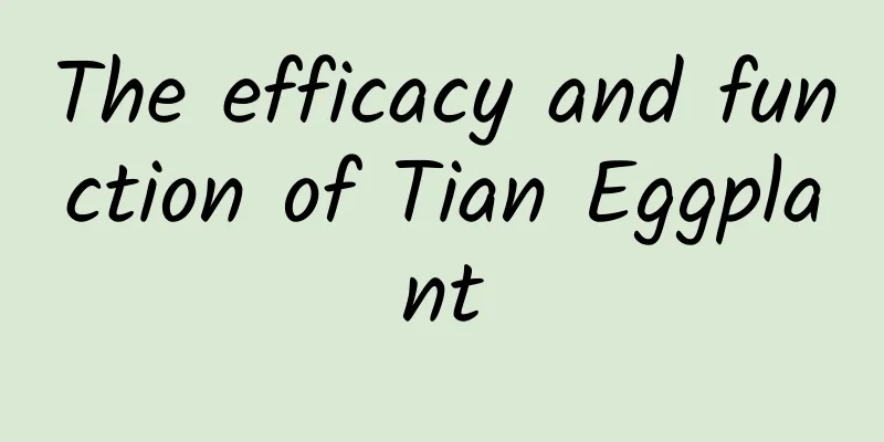 The efficacy and function of Tian Eggplant