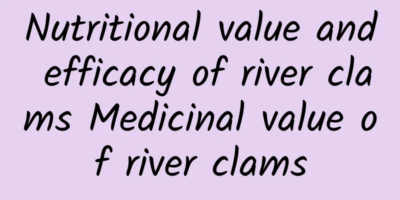 Nutritional value and efficacy of river clams Medicinal value of river clams