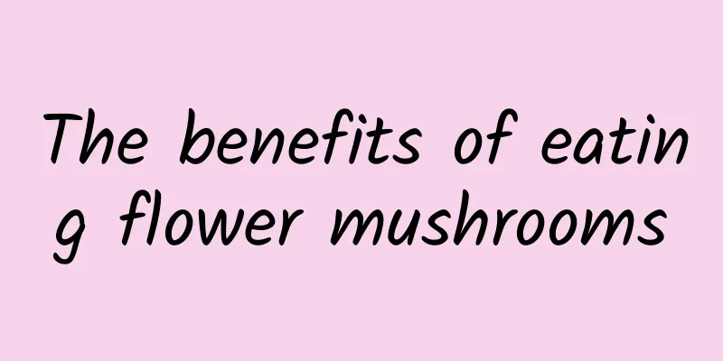 The benefits of eating flower mushrooms