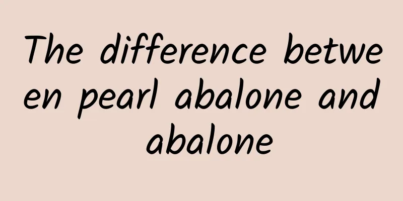 The difference between pearl abalone and abalone