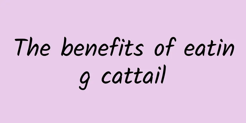 The benefits of eating cattail