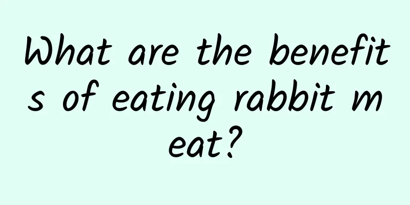 What are the benefits of eating rabbit meat?