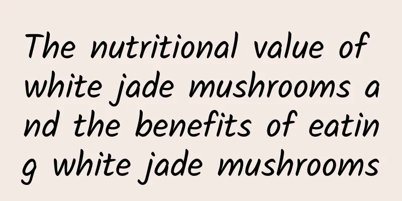 The nutritional value of white jade mushrooms and the benefits of eating white jade mushrooms