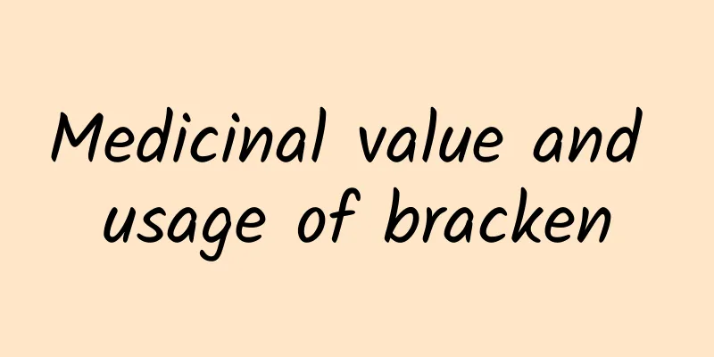 Medicinal value and usage of bracken