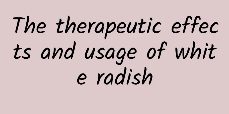 The therapeutic effects and usage of white radish