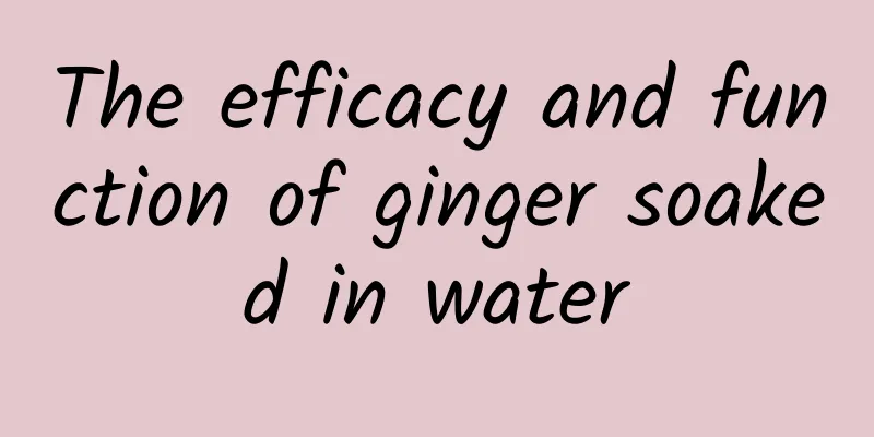 The efficacy and function of ginger soaked in water