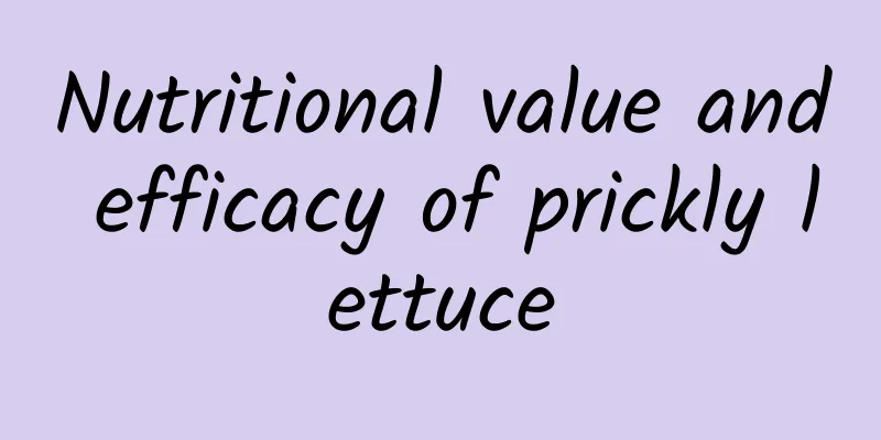 Nutritional value and efficacy of prickly lettuce