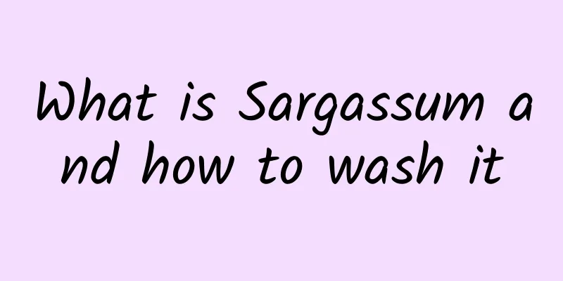 What is Sargassum and how to wash it