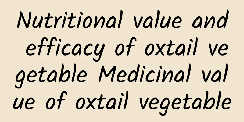 Nutritional value and efficacy of oxtail vegetable Medicinal value of oxtail vegetable