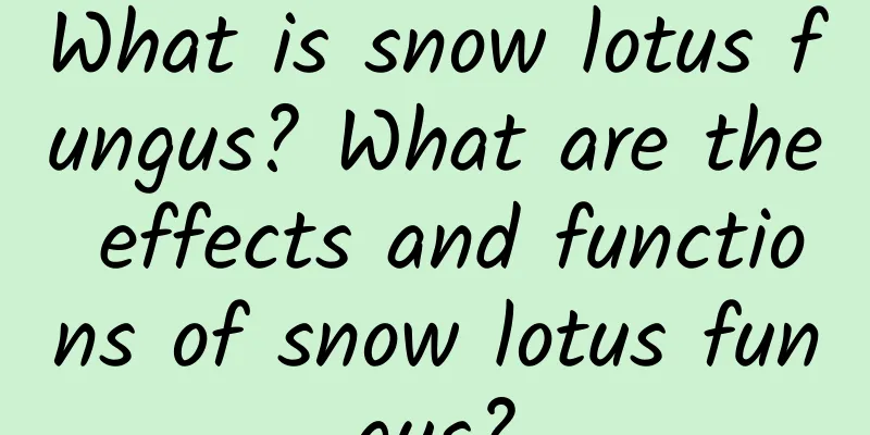 What is snow lotus fungus? What are the effects and functions of snow lotus fungus?