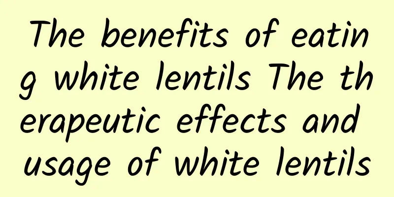 The benefits of eating white lentils The therapeutic effects and usage of white lentils