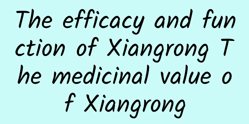 The efficacy and function of Xiangrong The medicinal value of Xiangrong