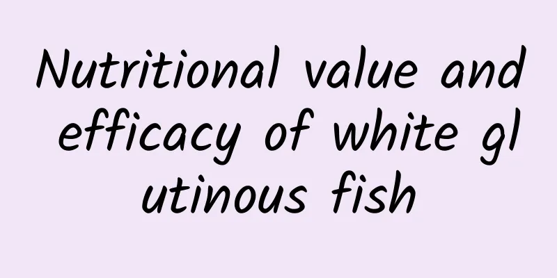 Nutritional value and efficacy of white glutinous fish