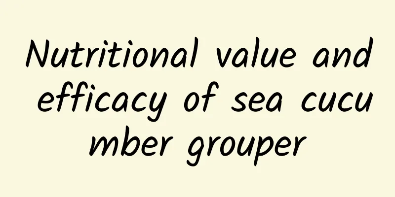 Nutritional value and efficacy of sea cucumber grouper