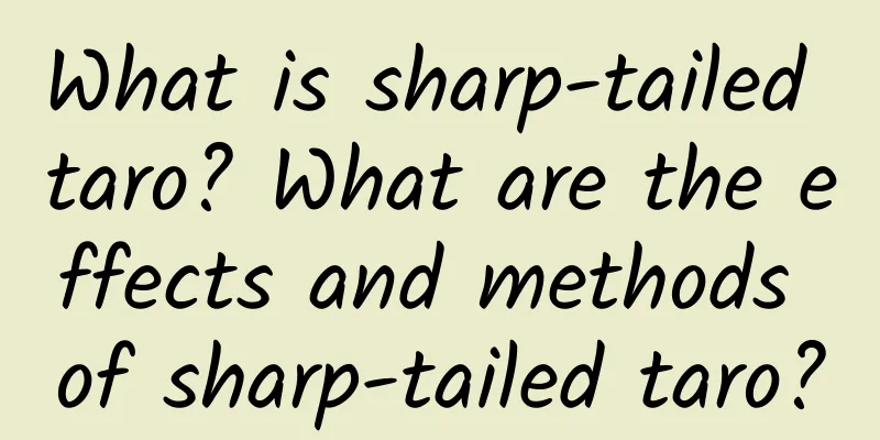 What is sharp-tailed taro? What are the effects and methods of sharp-tailed taro?