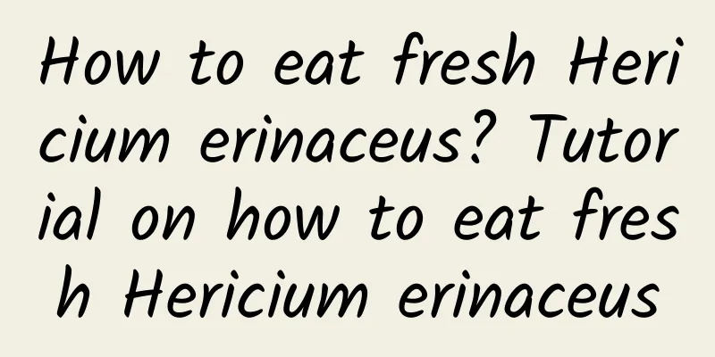 How to eat fresh Hericium erinaceus? Tutorial on how to eat fresh Hericium erinaceus