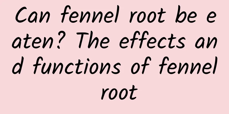 Can fennel root be eaten? The effects and functions of fennel root