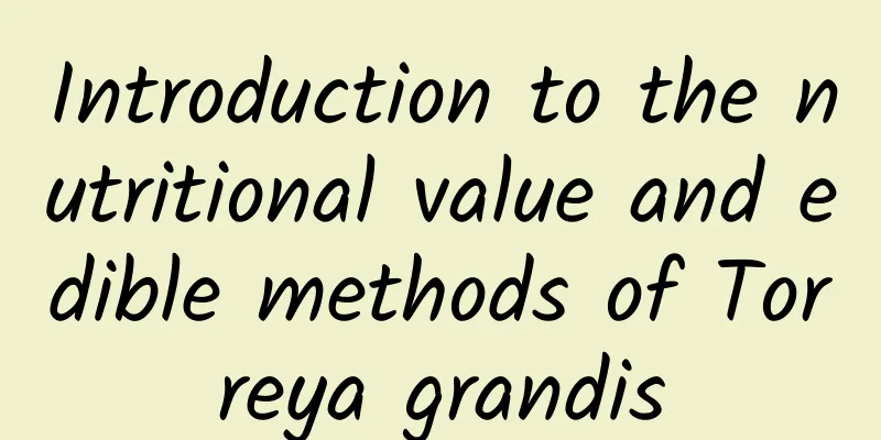 Introduction to the nutritional value and edible methods of Torreya grandis