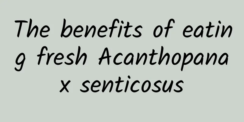 The benefits of eating fresh Acanthopanax senticosus